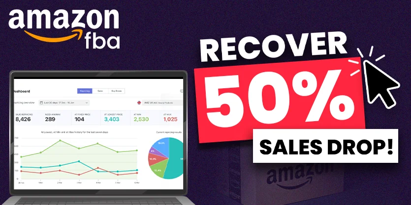 Amazon FBA Seller_ Recover from a 50% Sales Drop in 2025