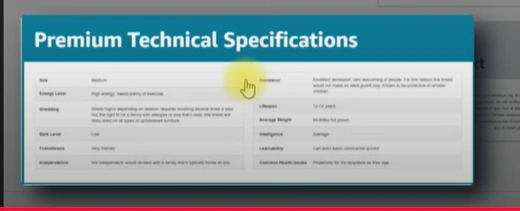 Amazon Premium A+ Content Explained: Step-by-Step Guide (2025)