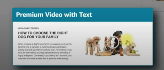 Amazon Premium A+ Content Explained: Step-by-Step Guide (2025)