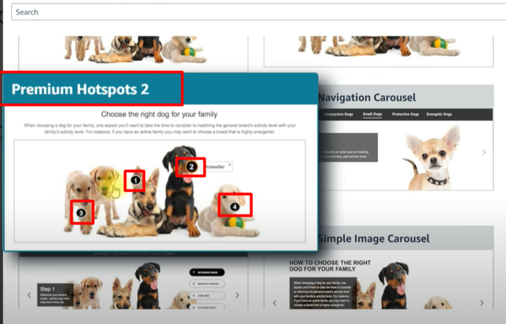 Amazon Premium A+ Content Explained: Step-by-Step Guide (2025)