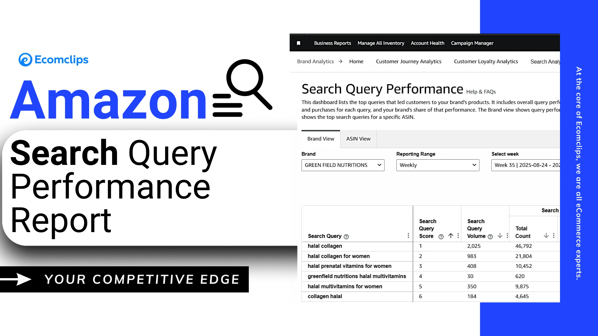 How to Steal Sales from Competitors on Amazon Using Search Query Performance Reports