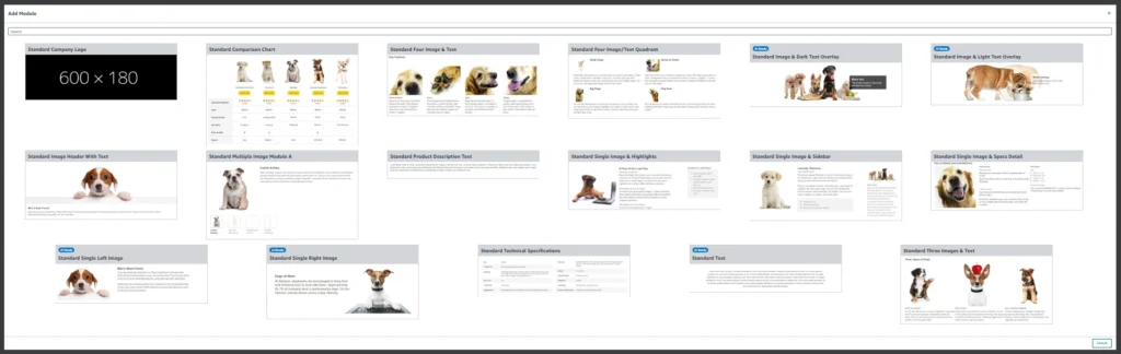 Premium A+ Content vs. Basic A+ on Amazon: What You Need to Know in 2025